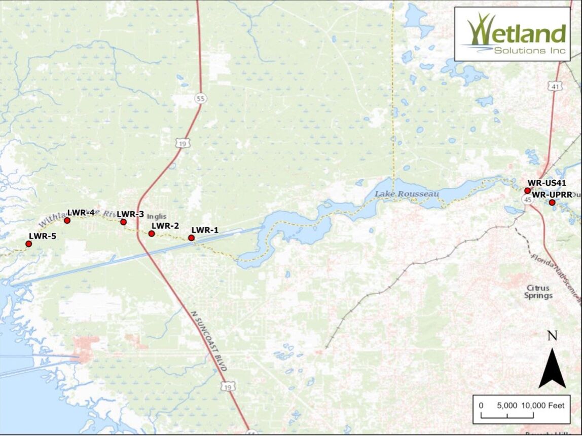 Withlacoochee River Study Sites